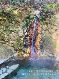 朝食後のきらきらしたお湯がきれい...岩露天風呂🪨合掌造りの宿 はづ合掌