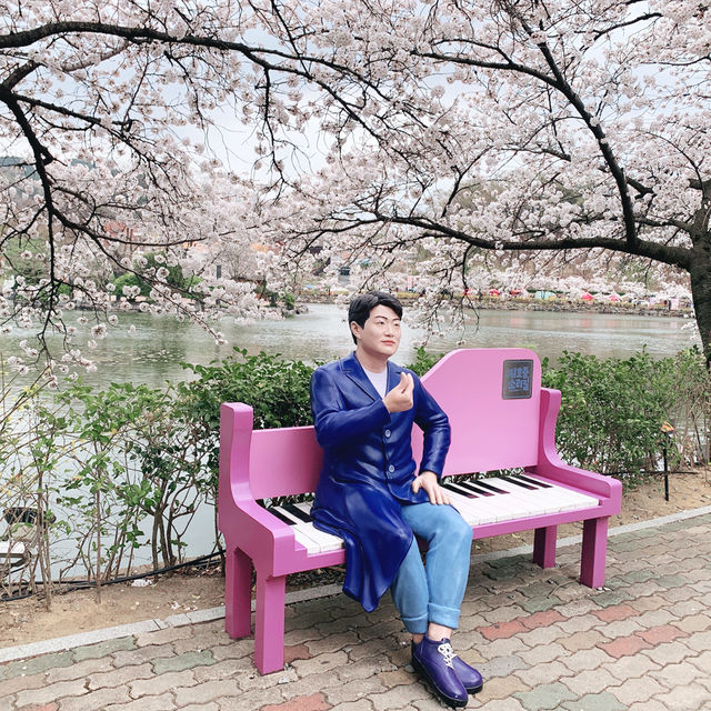 호수 위로 반짝이는 벚꽃잎을 만날 수 있는, 김천 연화지