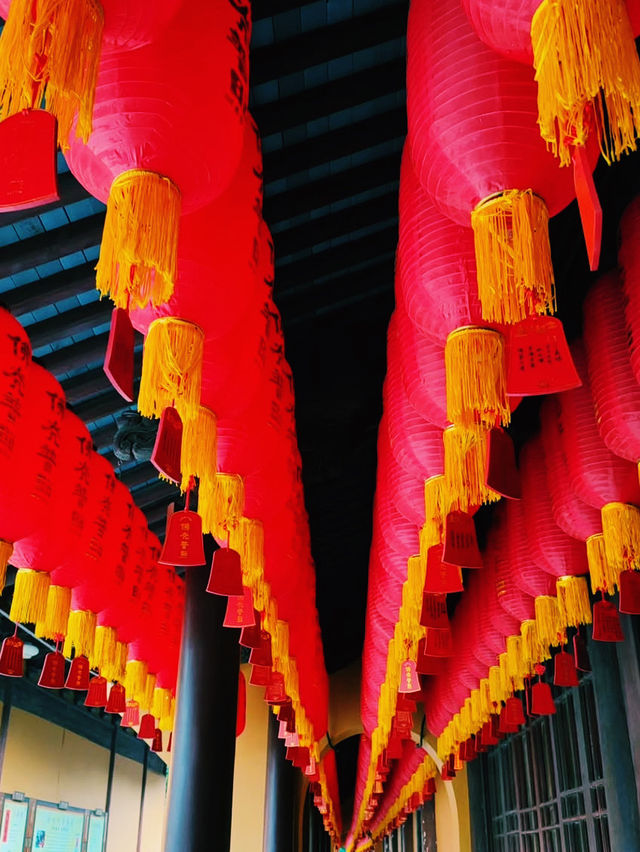 🇨🇳上海最大級の古刹で心洗われるひととき🌸🛕