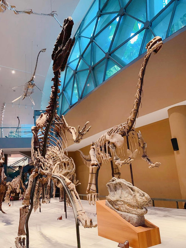 恐竜から宇宙まで学べる体験型博物館🦖🌌