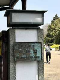 【京都】綺麗なお花に癒される子どもも嬉しいピクニックスポット