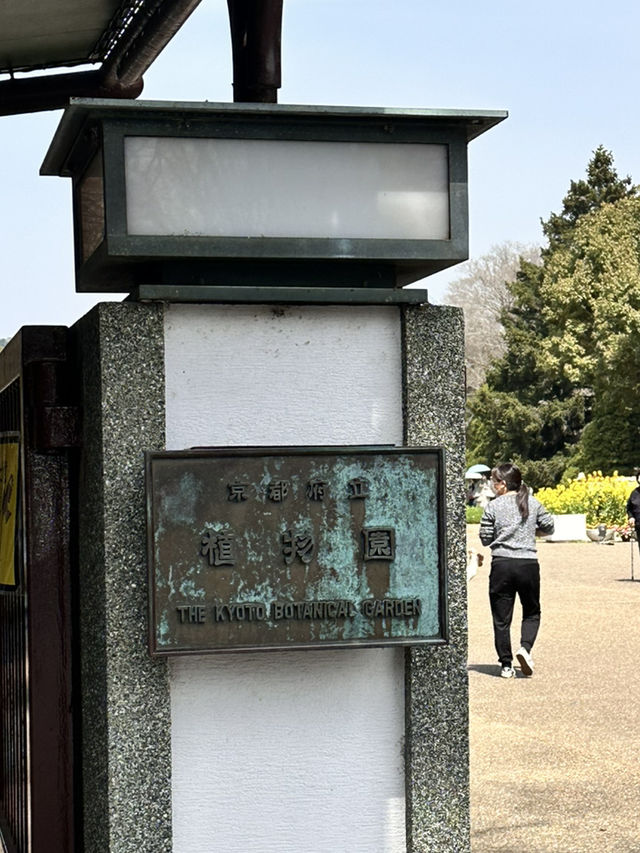 【京都】綺麗なお花に癒される子どもも嬉しいピクニックスポット