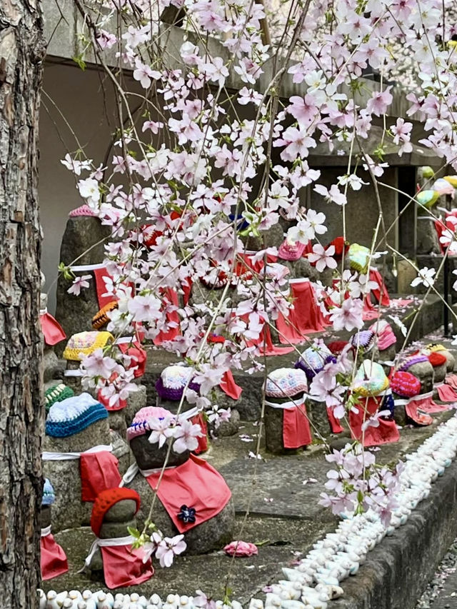 Cherry Blossoms at Chōhōji (Rokkakudō) Temple