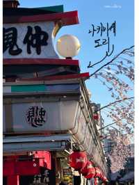 아사쿠사 여행 즐기기!!🇯🇵🎏🥢