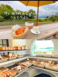 【山梨県】富士山とネモフィラを巡る絶景ドライブコース