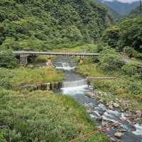 五峰清泉天主堂附近賞櫻區