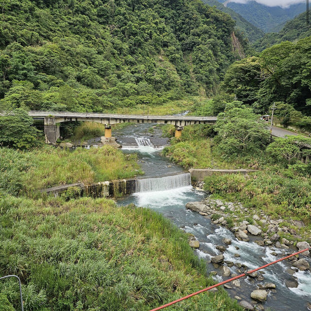 五峰清泉天主堂附近賞櫻區