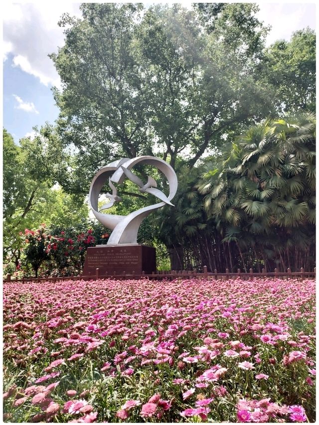Spring @ Kunming