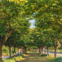 富陽自然生態公園·綠意世外桃源