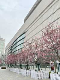 Pretty In Pink Outside Dream Plaza, Wuhan