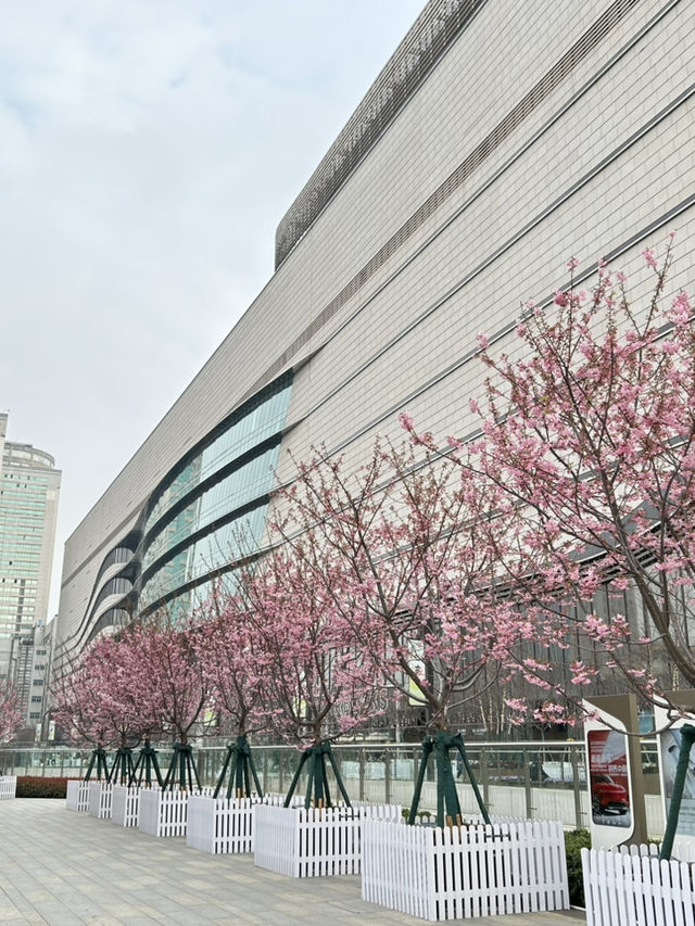 Pretty In Pink Outside Dream Plaza, Wuhan