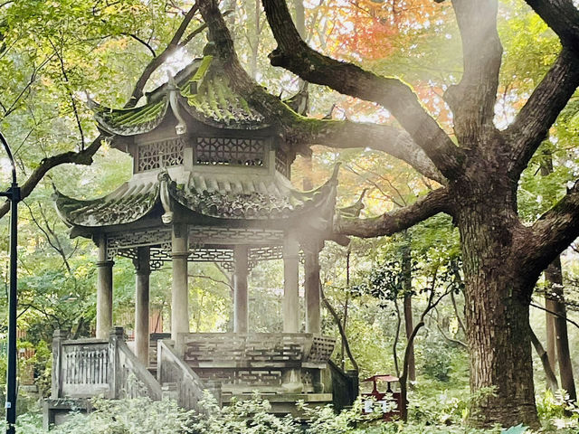 【世界遺産・西湖】四季折々の風景になんども訪れたい景勝地