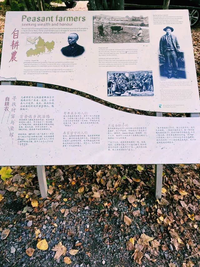 新西蘭著名旅遊小鎮箭鎮旅行攻略，適合打卡拍照📸