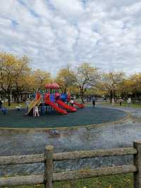 金黃花海迎春光，廍子公園黃花風鈴木花季盛宴。
