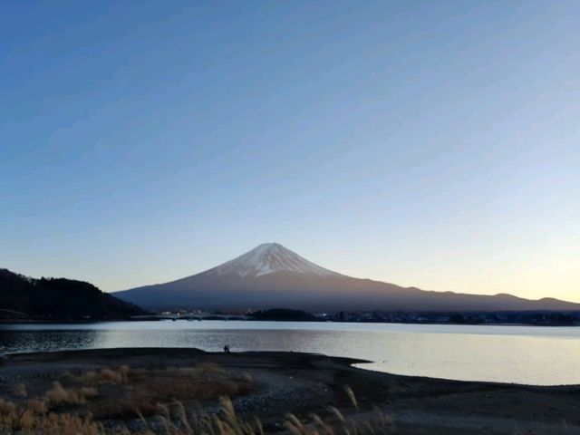 河口湖岸散步，感受富士山之美。