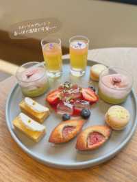 【京都/嵐山】春限定のスコーン食べ放題アフタヌーンティー🥰🌸✨