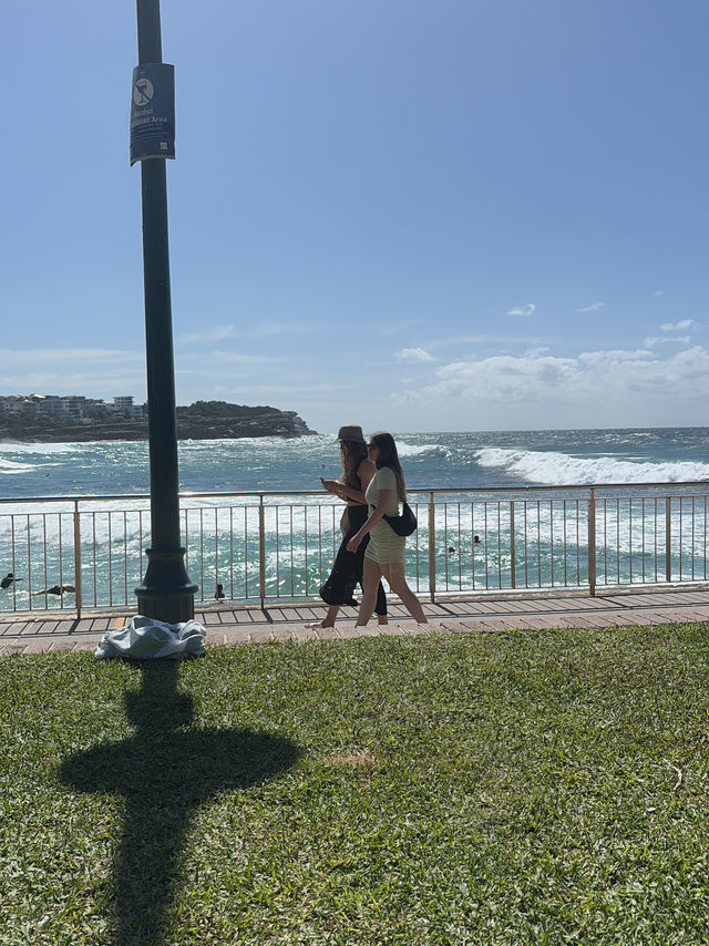 The best beach in Sydney