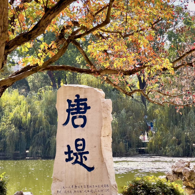 KUNMING | GREEN LAKE 