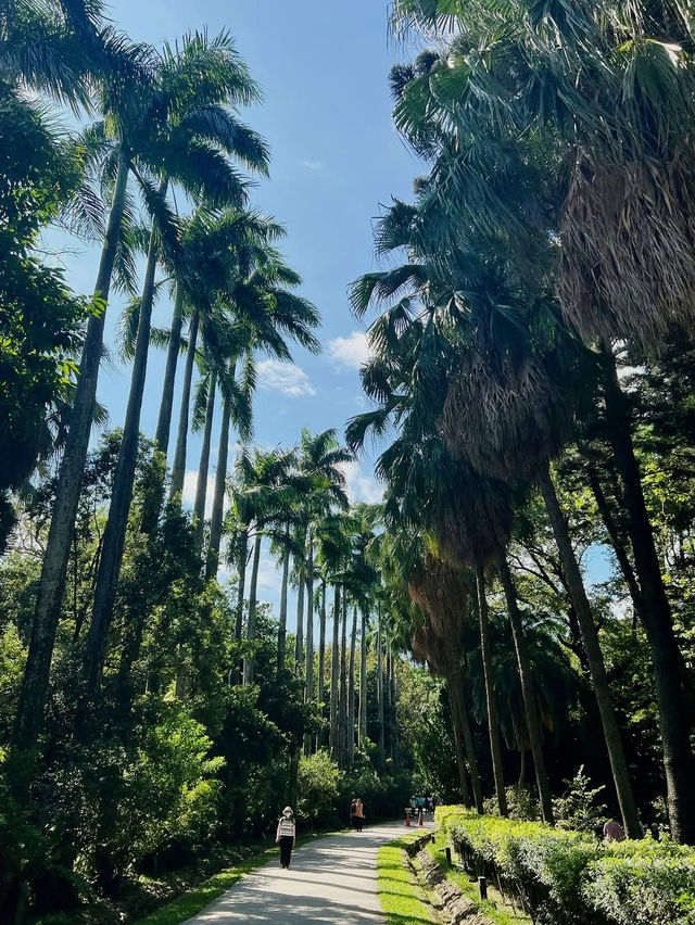 Taipei Botanical Garden