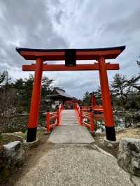 Foxes, Forests & a Thousand Gates — My Takayama Inari Shrine Stroll