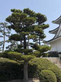 日本四國