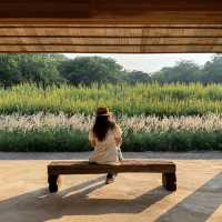 7 จุดเช็คอินที่เขาใหญ่ 🌳