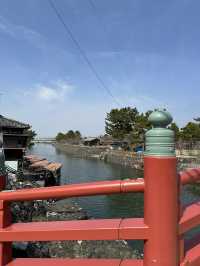 關西3日冒險旅程｜抹茶宇治 × 環球影城 × 京都櫻花
