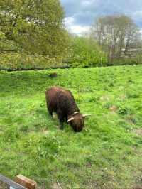 Pollok Country Park