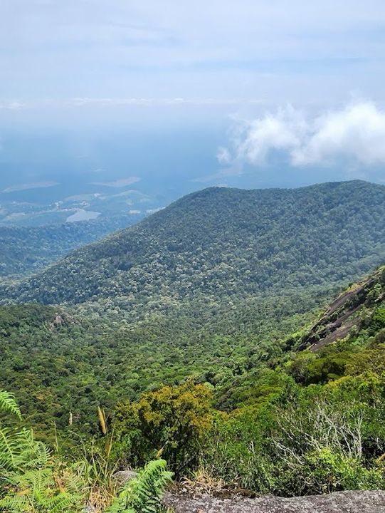 Gunung Ledang: Where Waterfalls Whisper & Your Thighs Scream" 🏔️💦