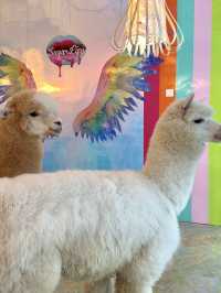 Sweet Moments with Alpacas: Exploring Eatsugarlips Café in Permas City