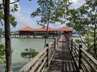 Taman Negara Johor Pulau Kukup – A Solo Traveller’s Adventurous Escape