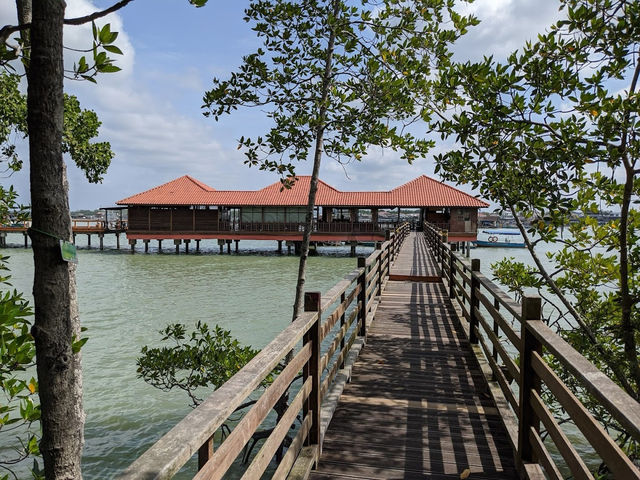 Taman Negara Johor Pulau Kukup – A Solo Traveller’s Adventurous Escape