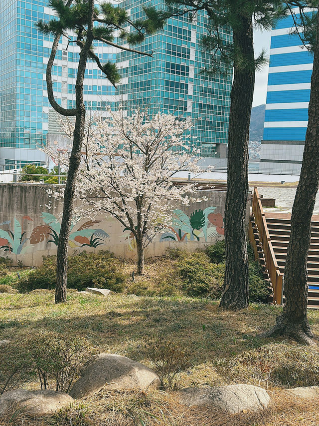 Bloom, Breeze & a Bit of Roar: Discover the Charm of Songdo Cable Car