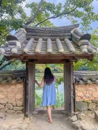 푸릇푸릇 여름감성 여행지 🌱
