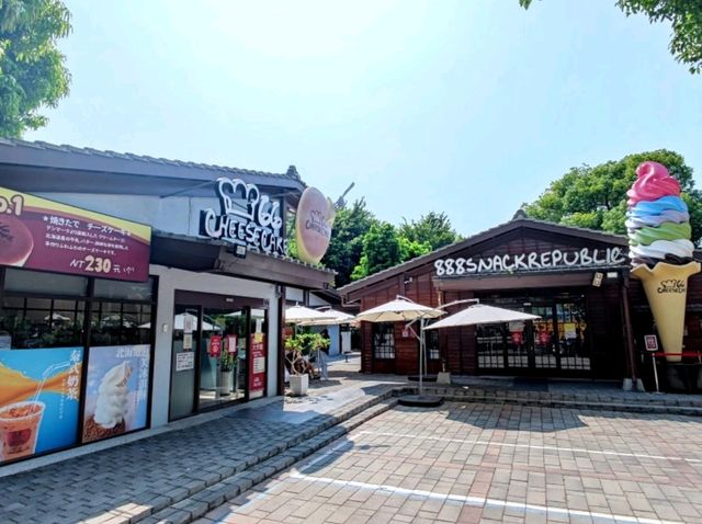 #66 cheesecake 溪湖北海道起司蛋糕專門店-彰化縣溪湖鎮