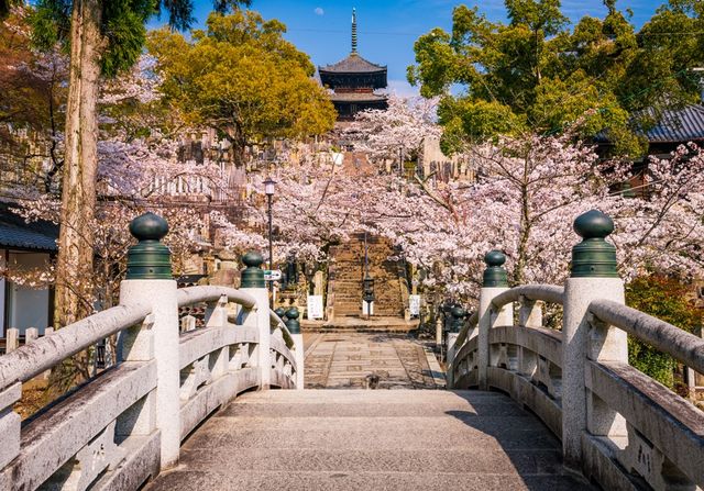 🌸 "Konkaikomyo-ji: Kyoto’s Hidden Temple with a Golden Surprise!" 🌸