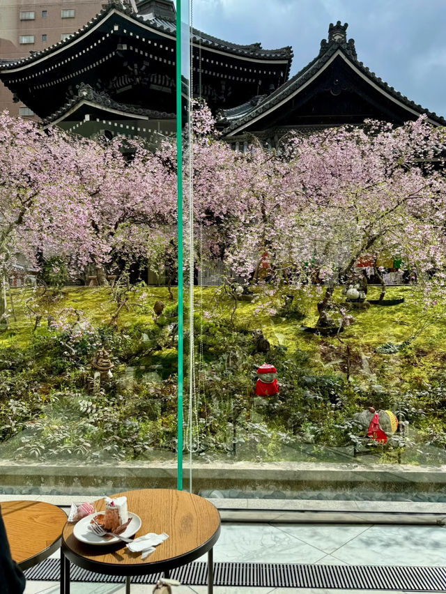 🌸 Kyoto's Hidden Cherry Blossom Paradise: The Enchanting Weeping Cherry Trees at Rokudo-do Temple 🌿