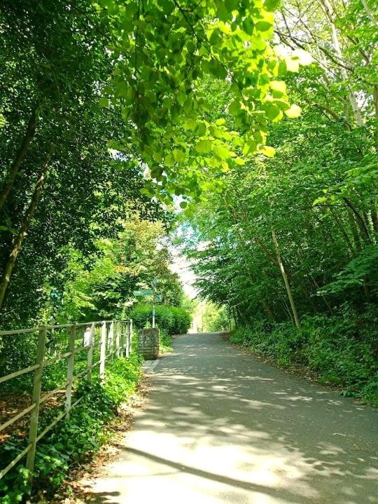 Kelvingrove Park