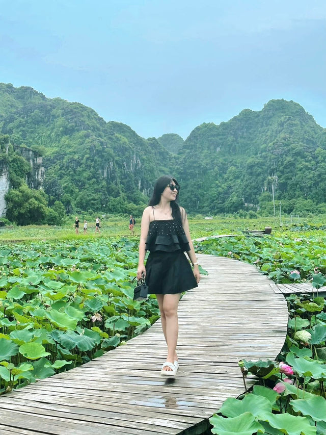 Tràng An- Bái Đính