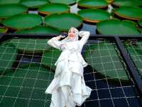 มาดูบัว คาเฟ่ - ภูเก็ต