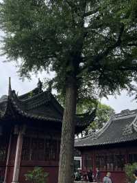 Yuyuan Garden: A Serene Treasure in the Heart of Shanghai