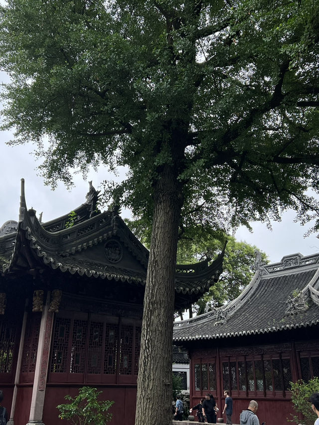Yuyuan Garden: A Serene Treasure in the Heart of Shanghai