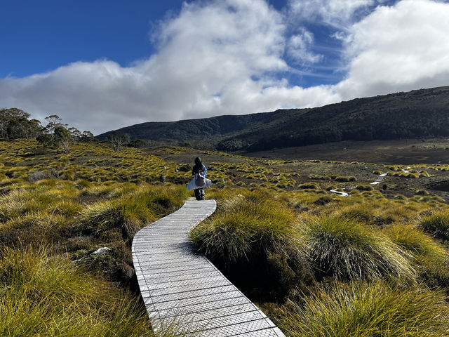 Discover the scenic view & wombats sightings at Cradle Mountain Ronny Creek walk
