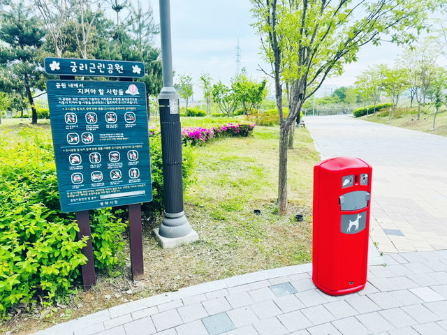 A Park for Everyone: Gungri’s Charm