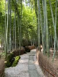 A Day in Kamakura – Culture, Nature & Coastal Charm