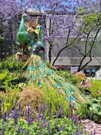 COLOURFUL PEACOCKS OF NANPING PEDESTRIAN STREET