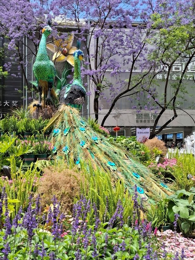 COLOURFUL PEACOCKS OF NANPING PEDESTRIAN STREET