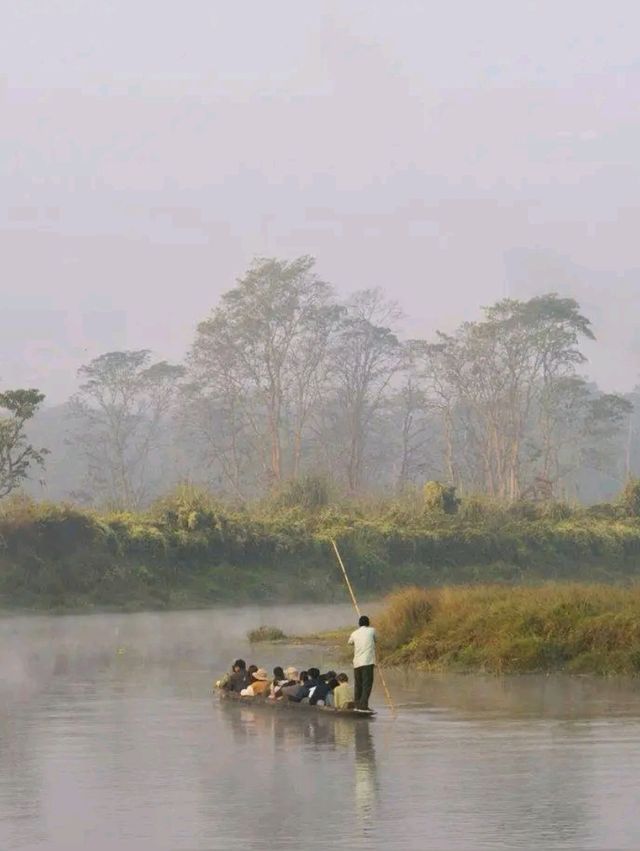 Into the Wild: A Magical Journey through Chitwan National Park