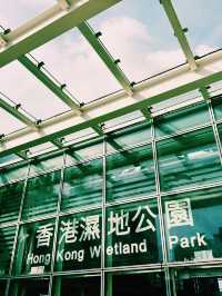 香港濕地公園｜生態與親子一日遊
