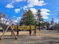 清水沼公園，曾經的沼澤之地，現搖身一變成了公園住宅和賞櫻之所